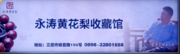 三亞鳳凰機(jī)場(chǎng)廣告有哪些媒體形式?