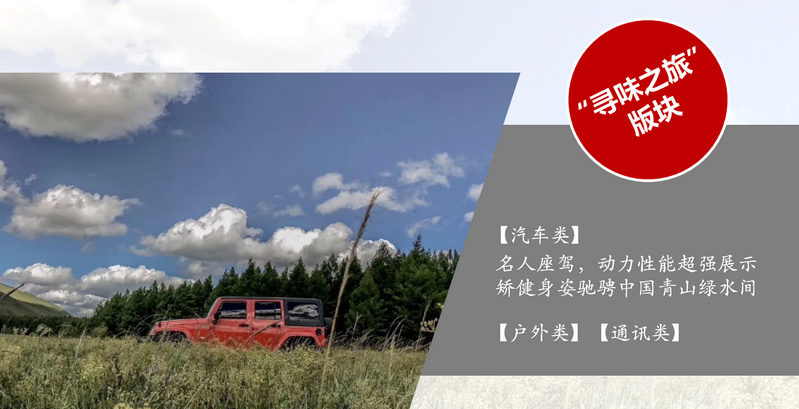汽車(chē)類(lèi)案例