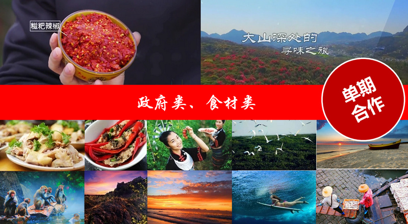 政府類(lèi)、食材類(lèi)案例