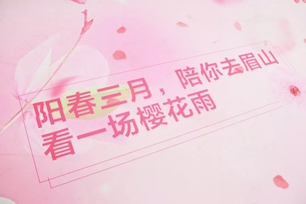 眉山櫻花博覽園成都地鐵廣告