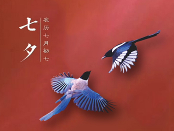 七夕節(jié)，你秀恩愛了嗎?