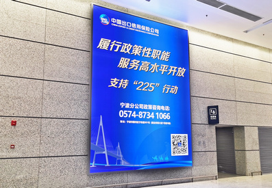 寧波機(jī)場(chǎng)國內(nèi)迎客廳右側(cè)燈箱廣告案例圖