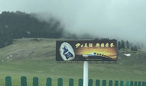 新疆高速立柱大牌廣告案例，烏魯木齊高速廣告酒類廣告案例
